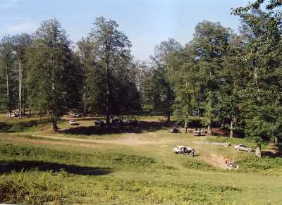 Korgan Yaylaları ve Obaları/Korgan